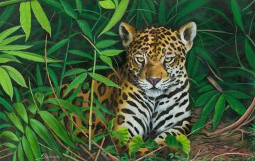 Obraz Jaguár z Peru